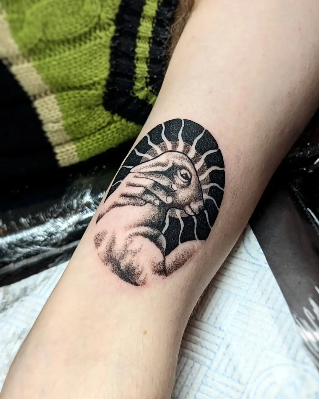 Unique lamb tattoo with striking sunburst effect