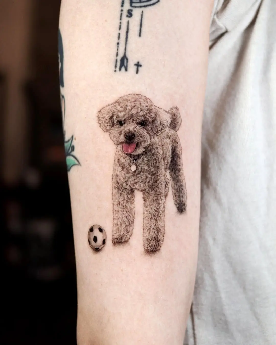 Charming Poodle Playing with a Soccer Ball