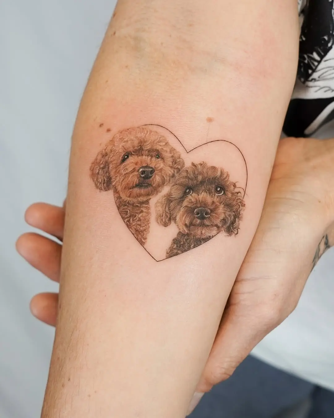 Adorable poodle tattoo capturing sweet companionship