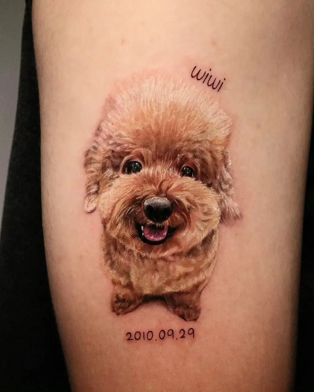 Realistic Poodle Tattoo with Playful Vibes