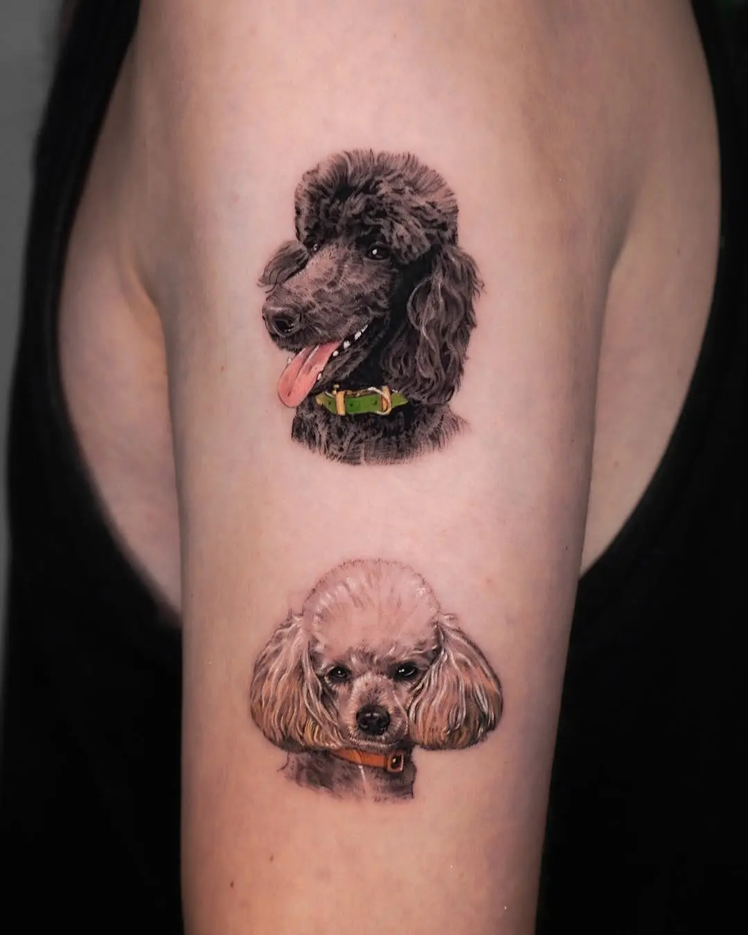Stunning Poodle Tattoos in Realistic Detail