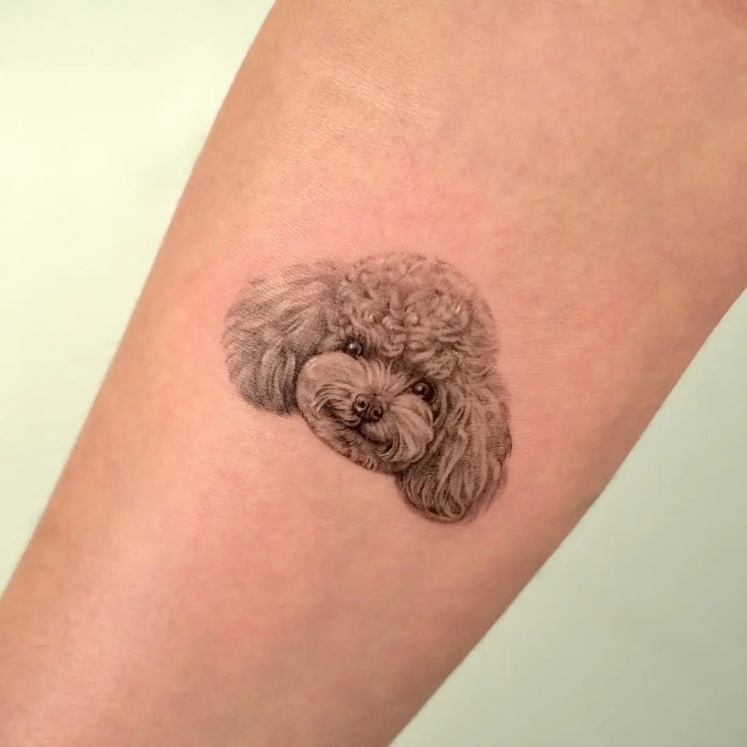 Adorable realistic poodle tattoo on forearm