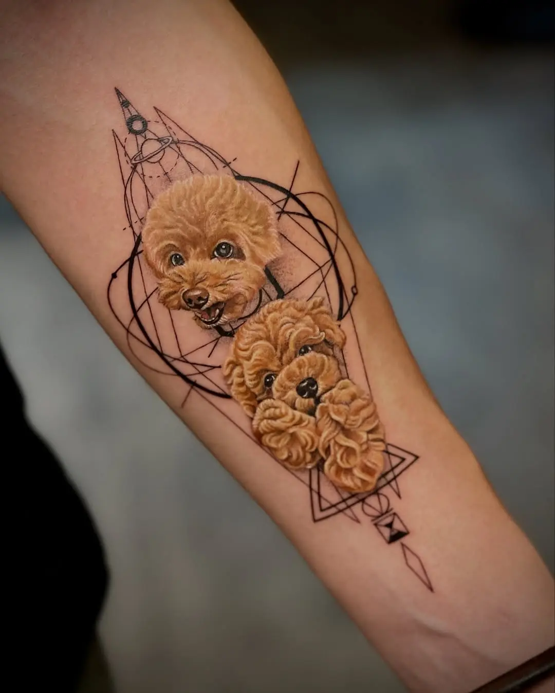 Charming poodle tattoo in geometric style