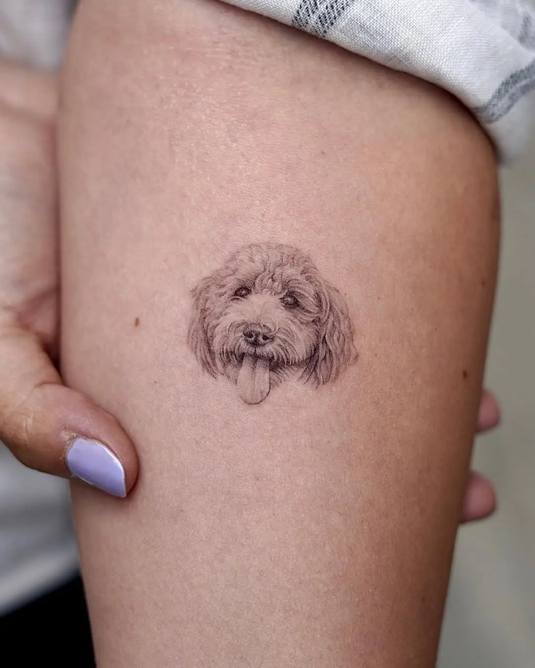 Realistic Poodle Tattoo with Charming Expression