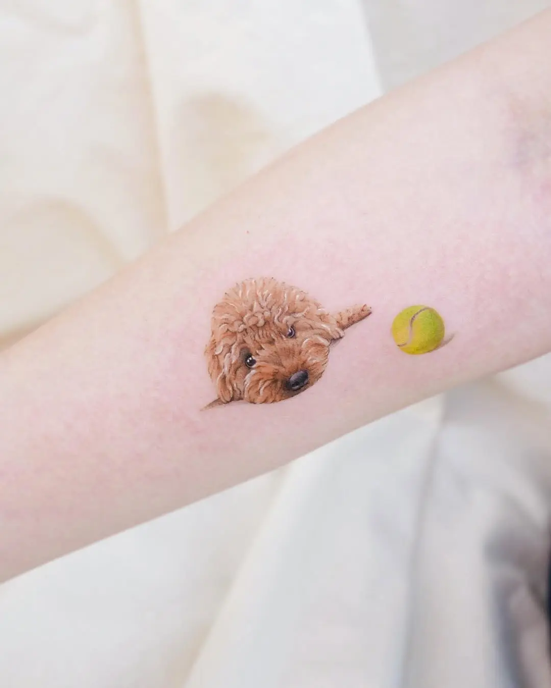 Charming poodle tattoo with tennis ball accent