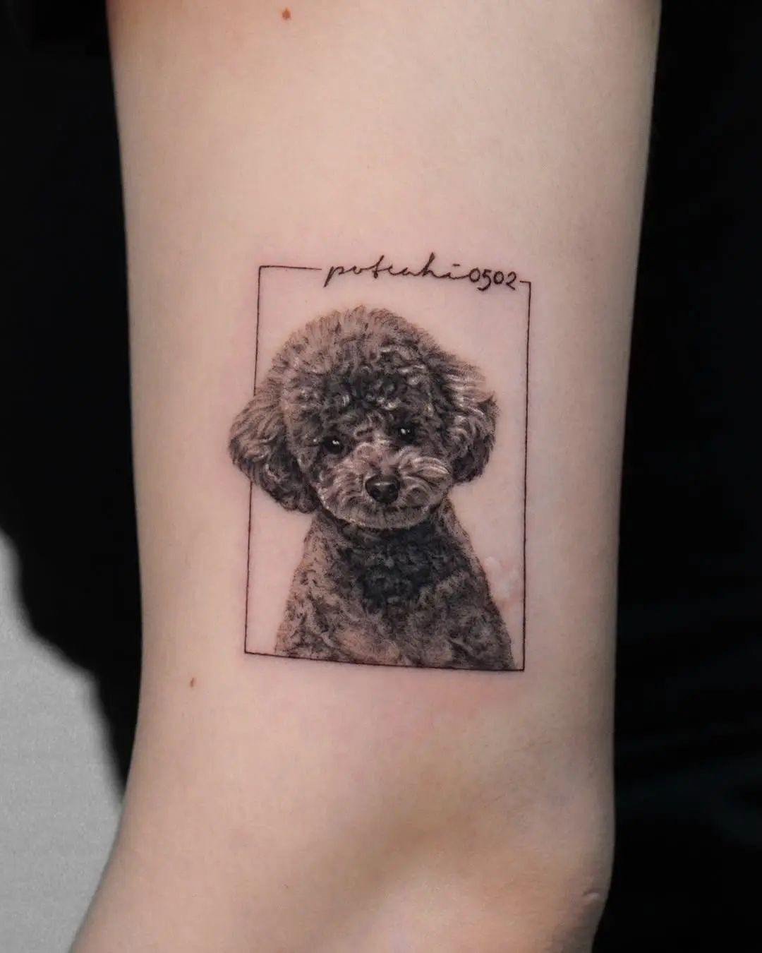 Realistic Poodle Portrait Tattoo on Arm