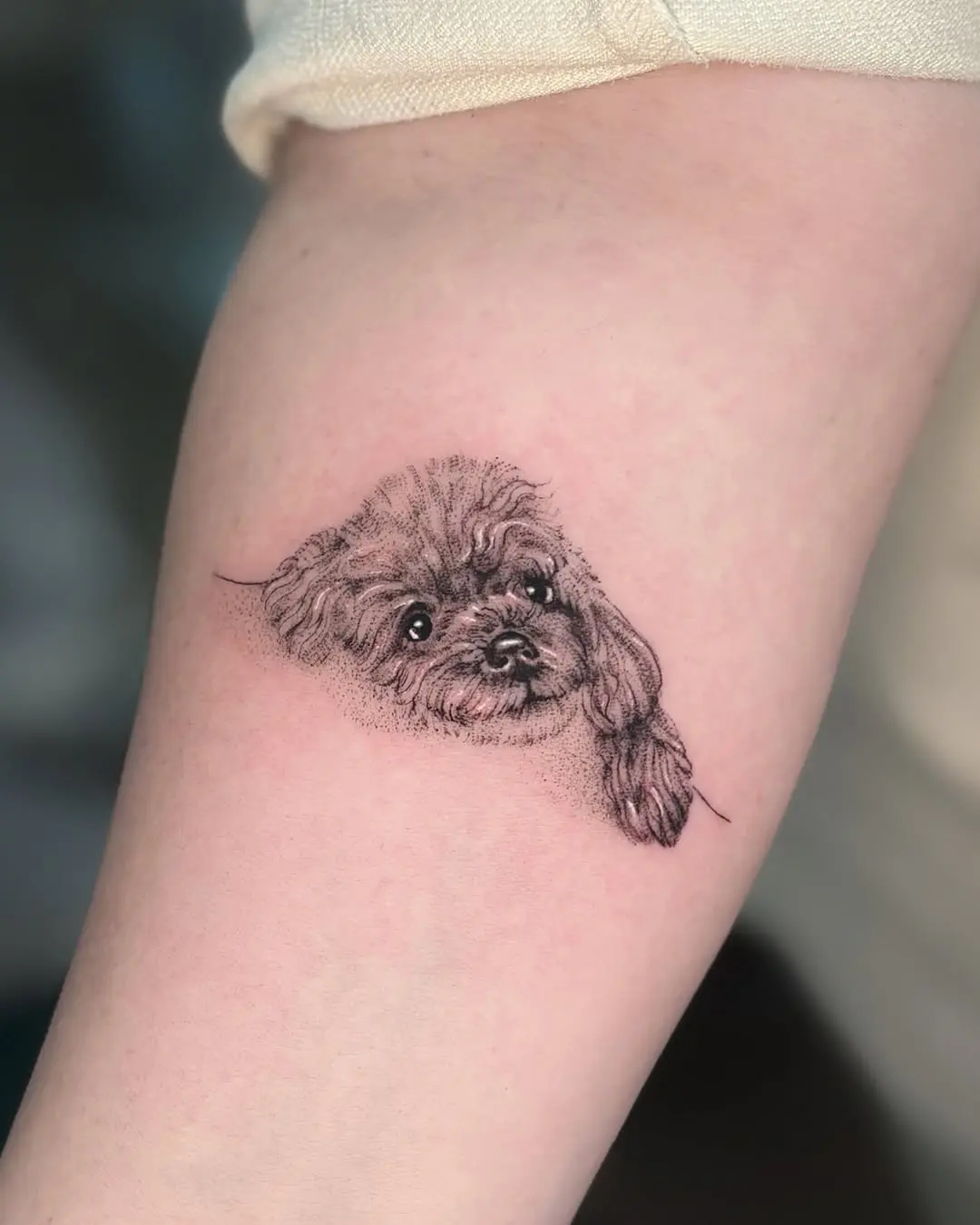 Realistic poodle tattoo with intricate detailing