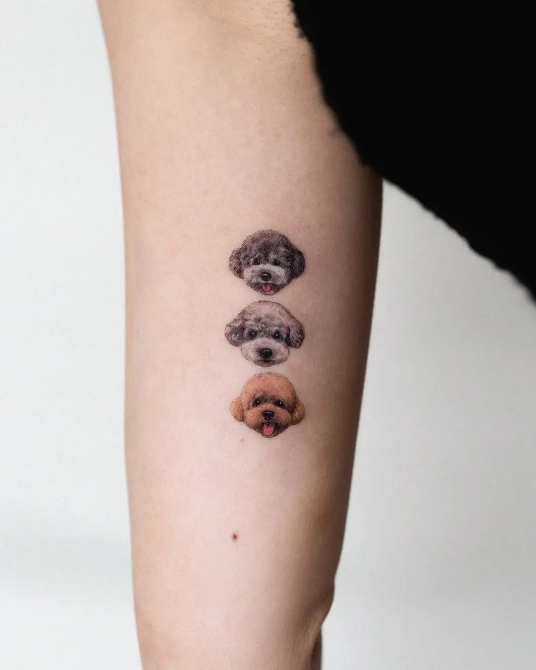 Charming Poodle Tattoo Capturing Different Breeds