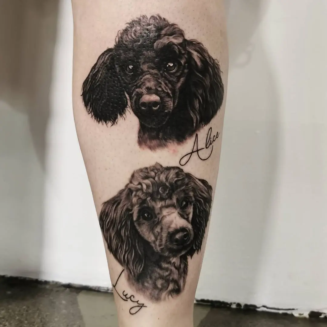 Realistic Poodle Portraits in Black and Gray