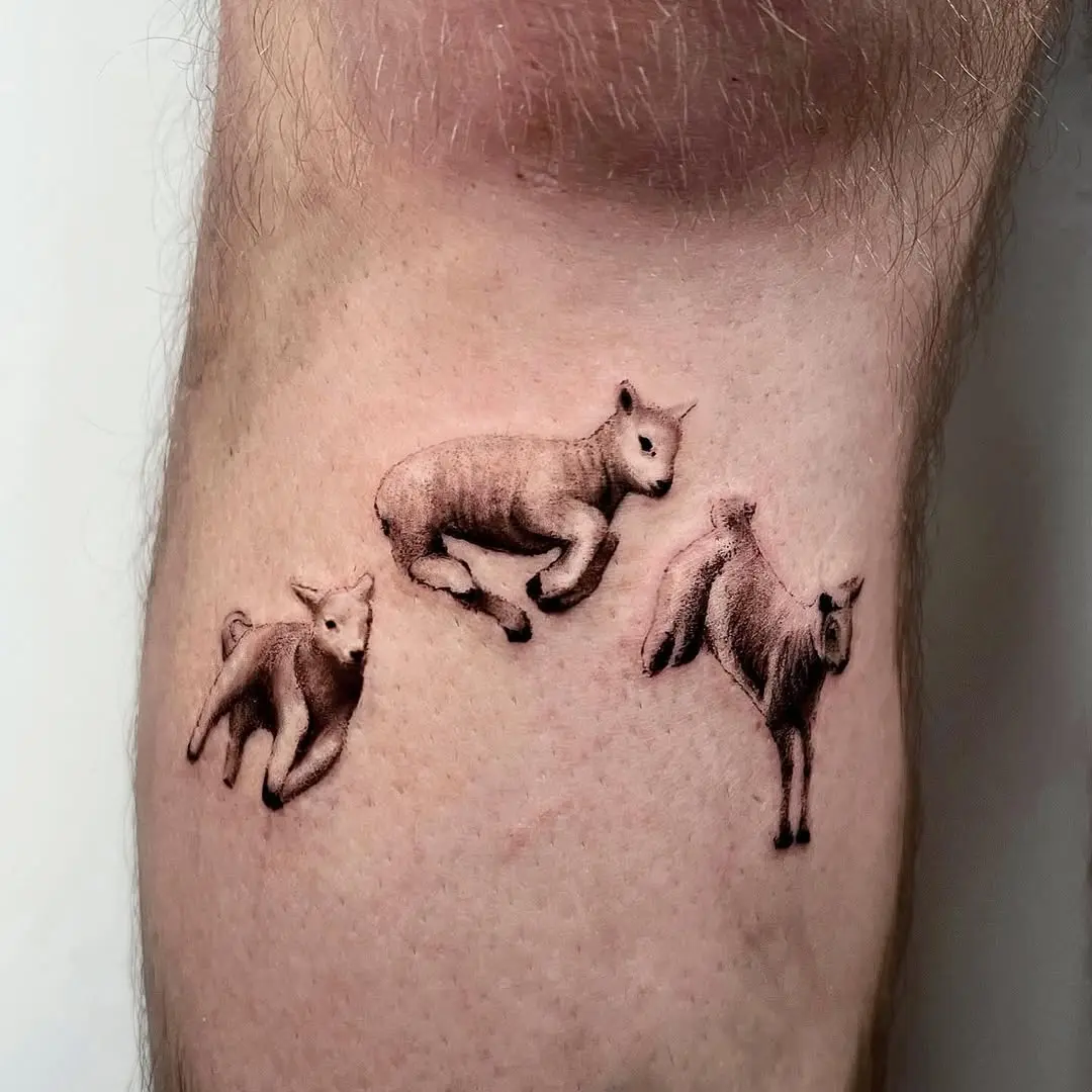Charming lamb tattoos in playful poses