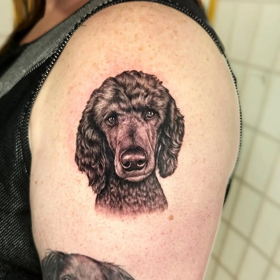 Stunning Realistic Poodle Tattoo Design