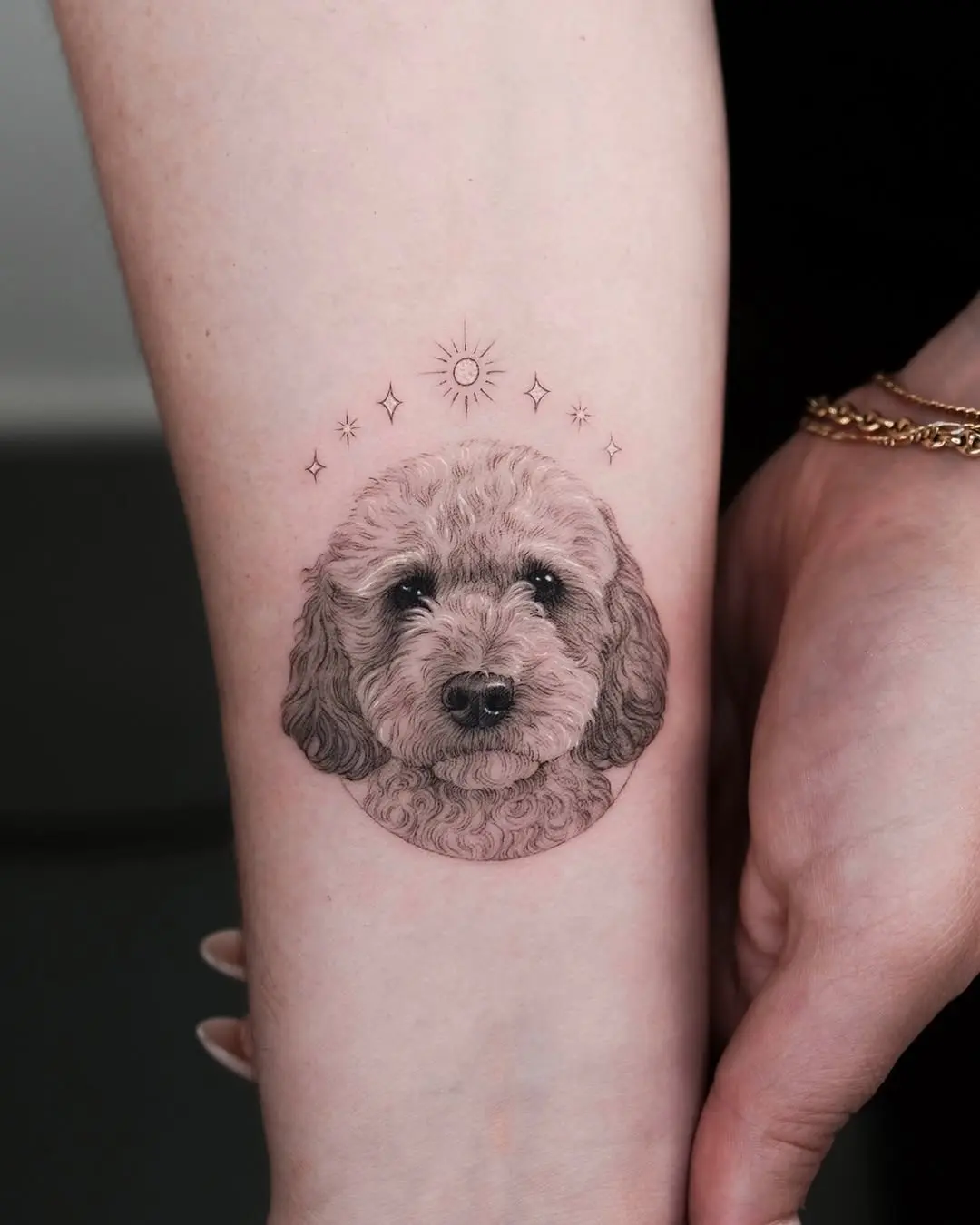 Realistic poodle tattoo art on forearm