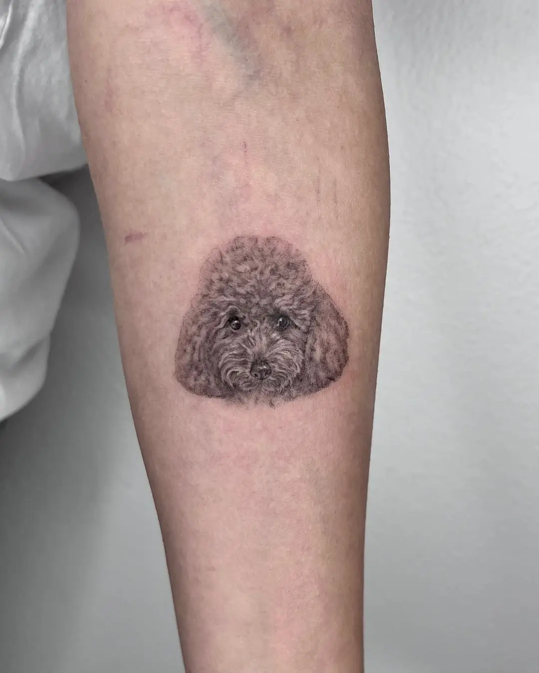 Stunning realistic poodle tattoo design on skin