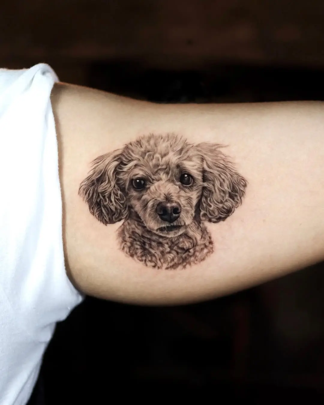 Intricate Poodle Portrait Tattoo on Arm