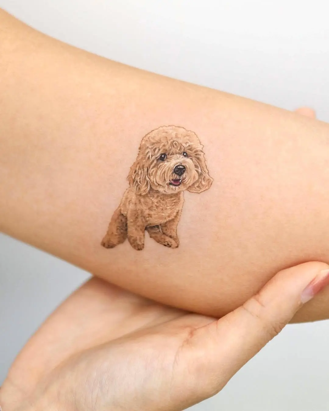 Charming realistic poodle tattoo on arm