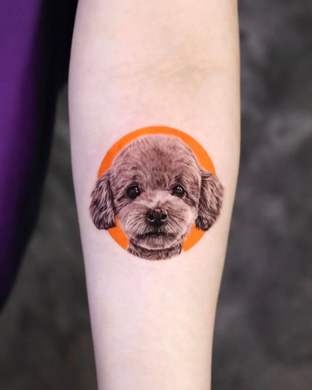 Adorable poodle tattoo with vibrant background
