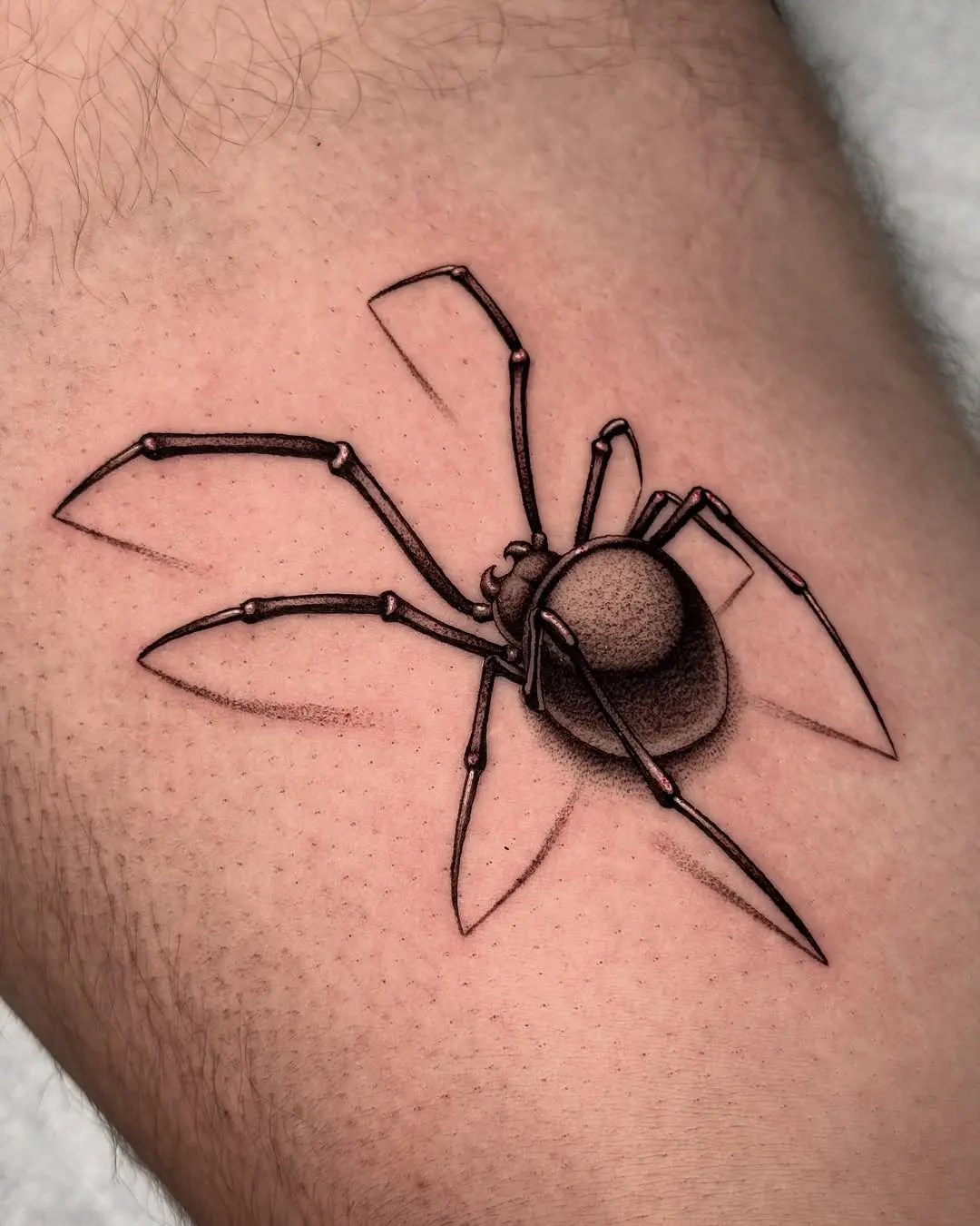 Intricately detailed spider tattoo design