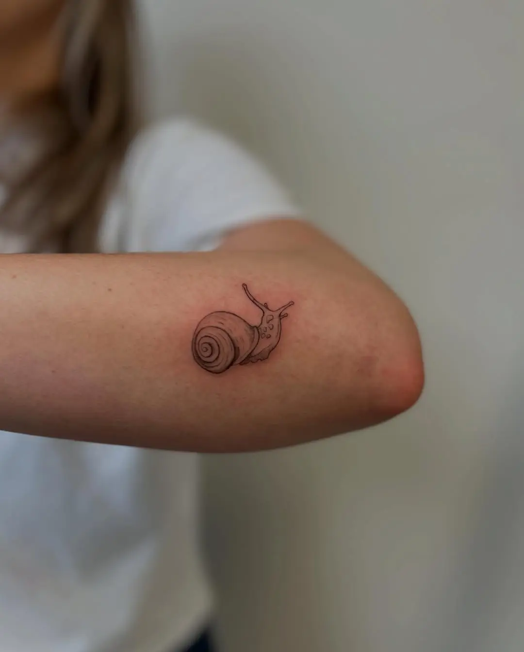 Charming snail tattoo on artistic expression