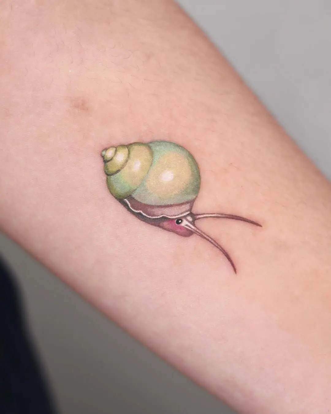 Charming snail tattoo with pastel elements