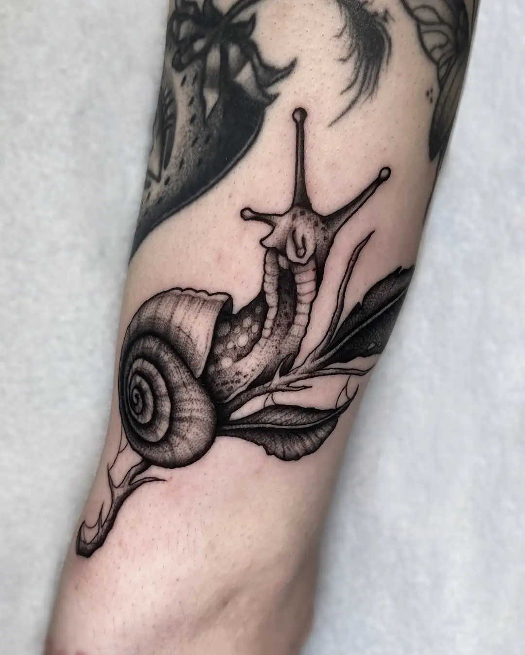 Detailed snail tattoo with a natural touch