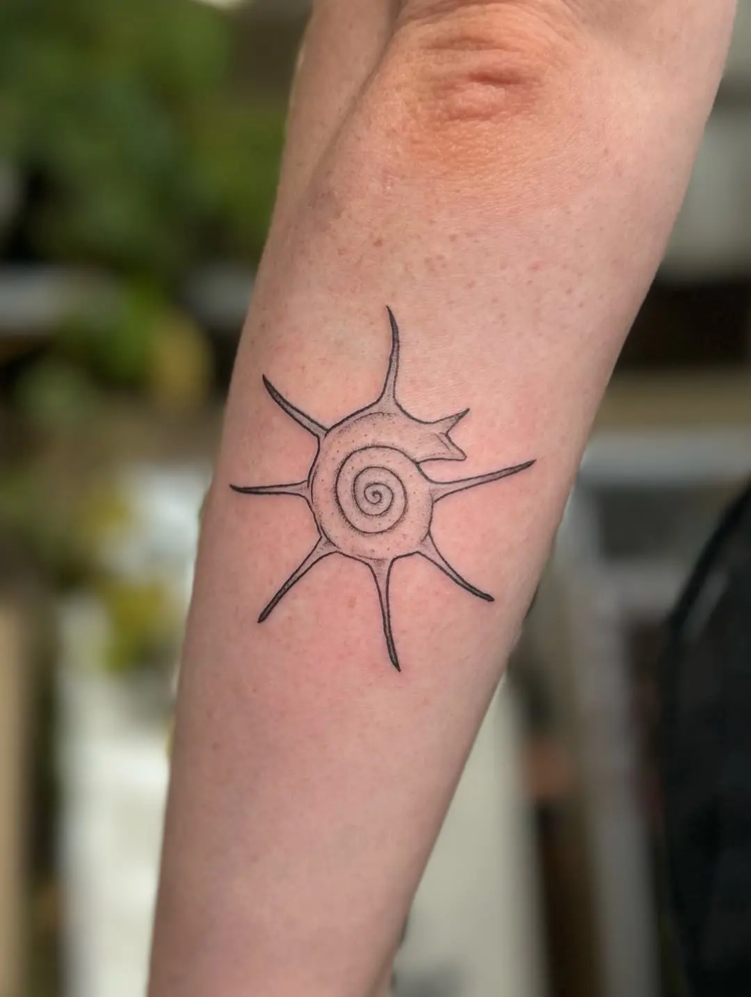 Minimalist snail tattoo with sunburst design