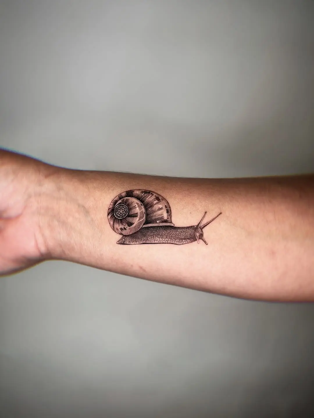 Realistic snail tattoo showcasing intricate details