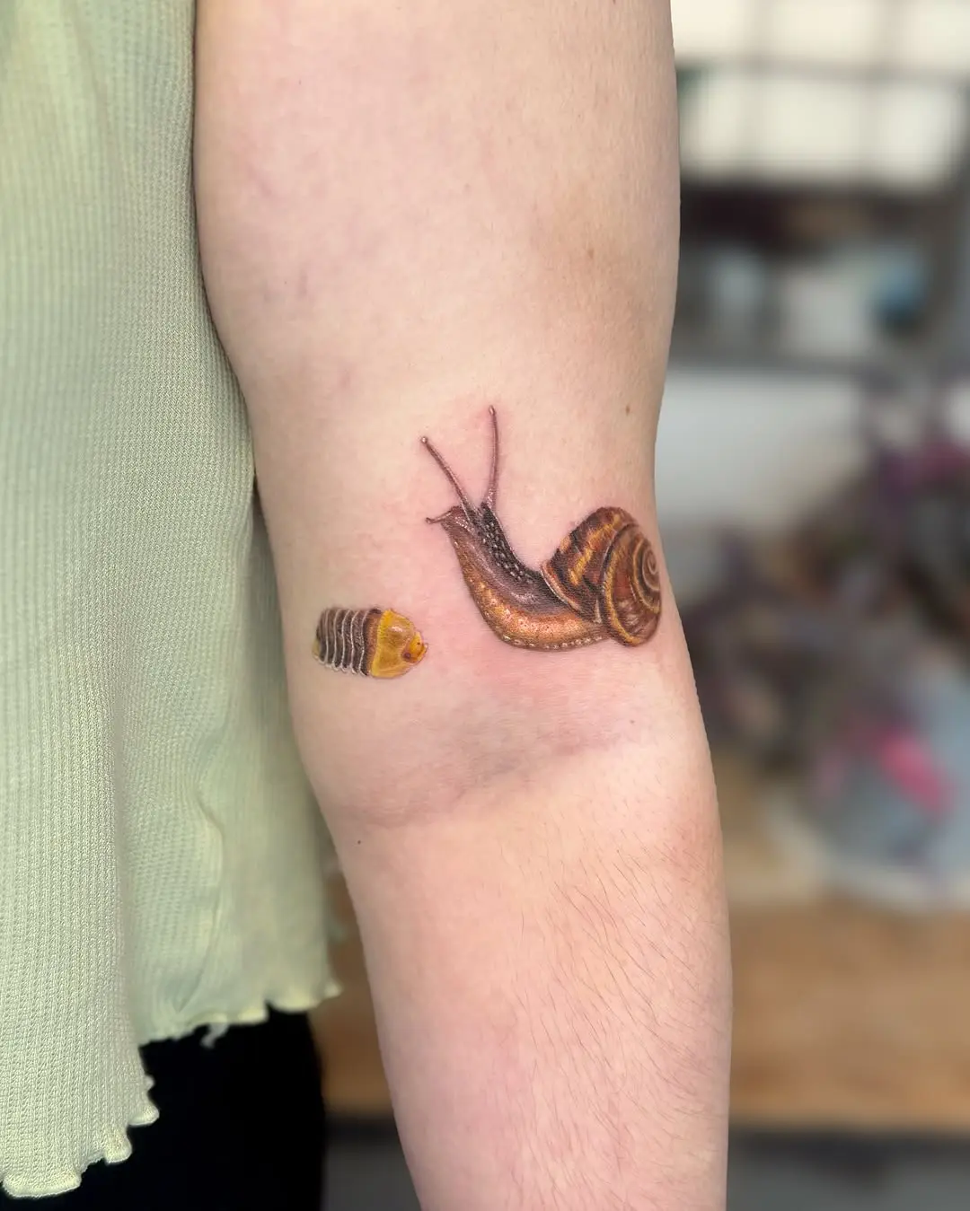 Unique snail tattoo showcasing natural beauty