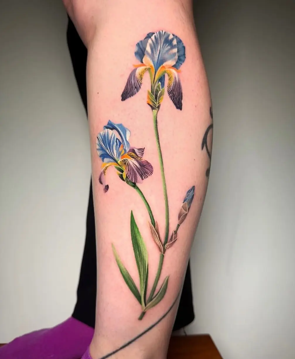 Delicate and vibrant iris flower tattoo design