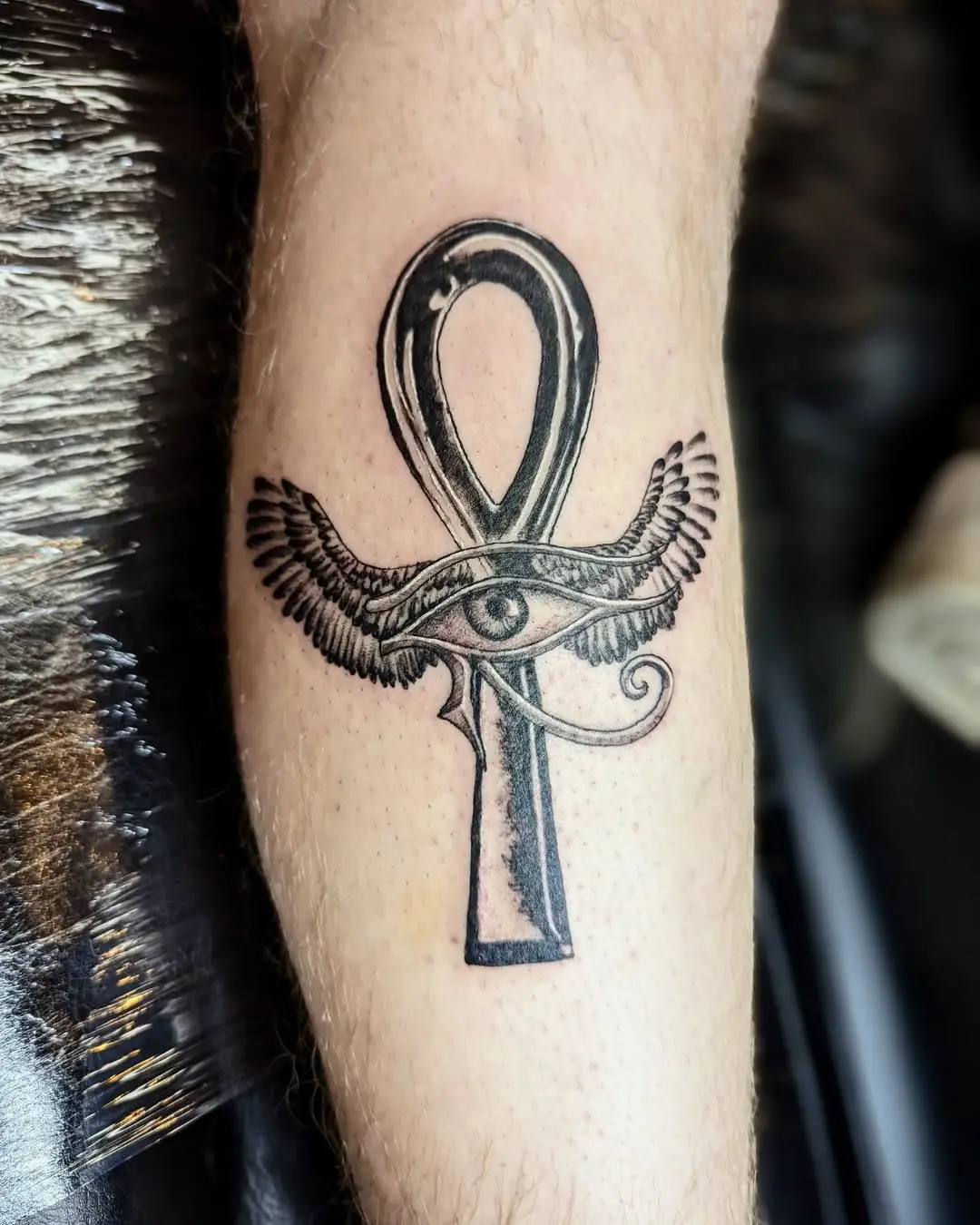 Symbol of life adorned with wings