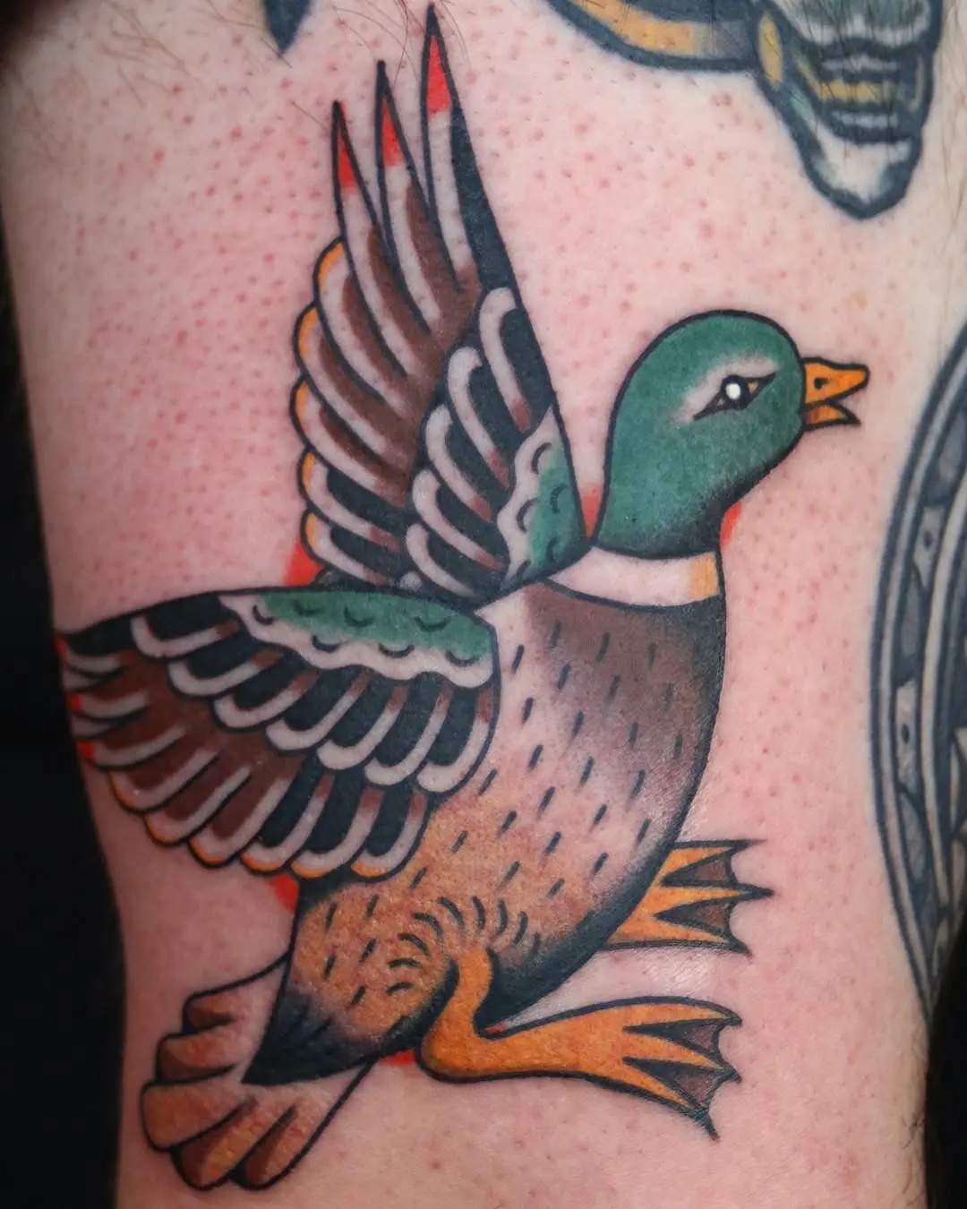 Elegant flying duck tattoo showcasing vintage flair