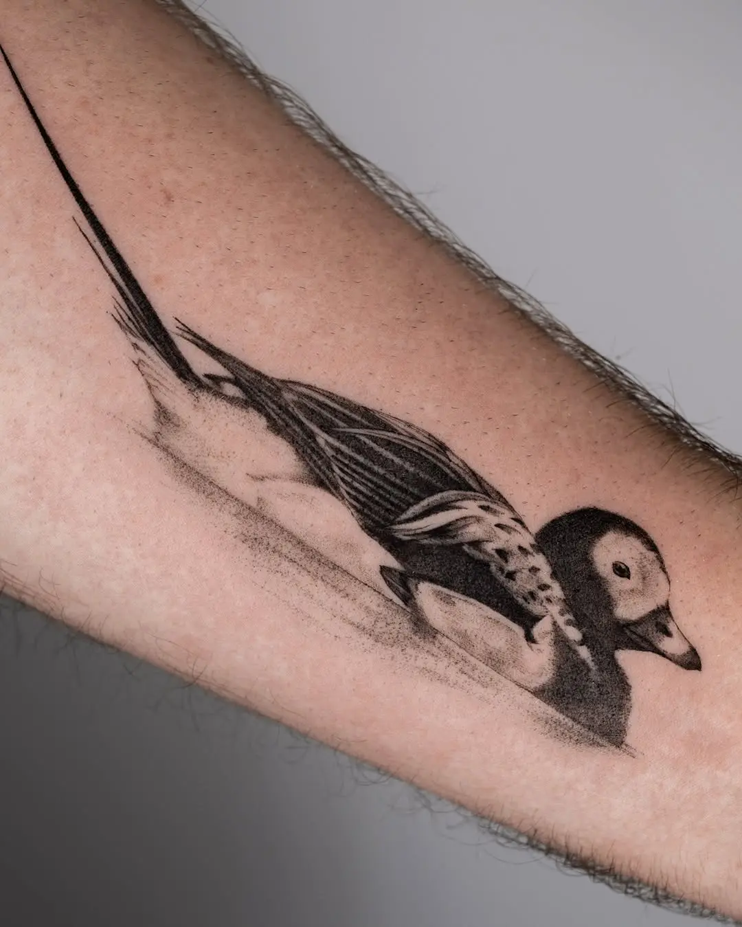 Stunning realistic duck tattoo design in black ink