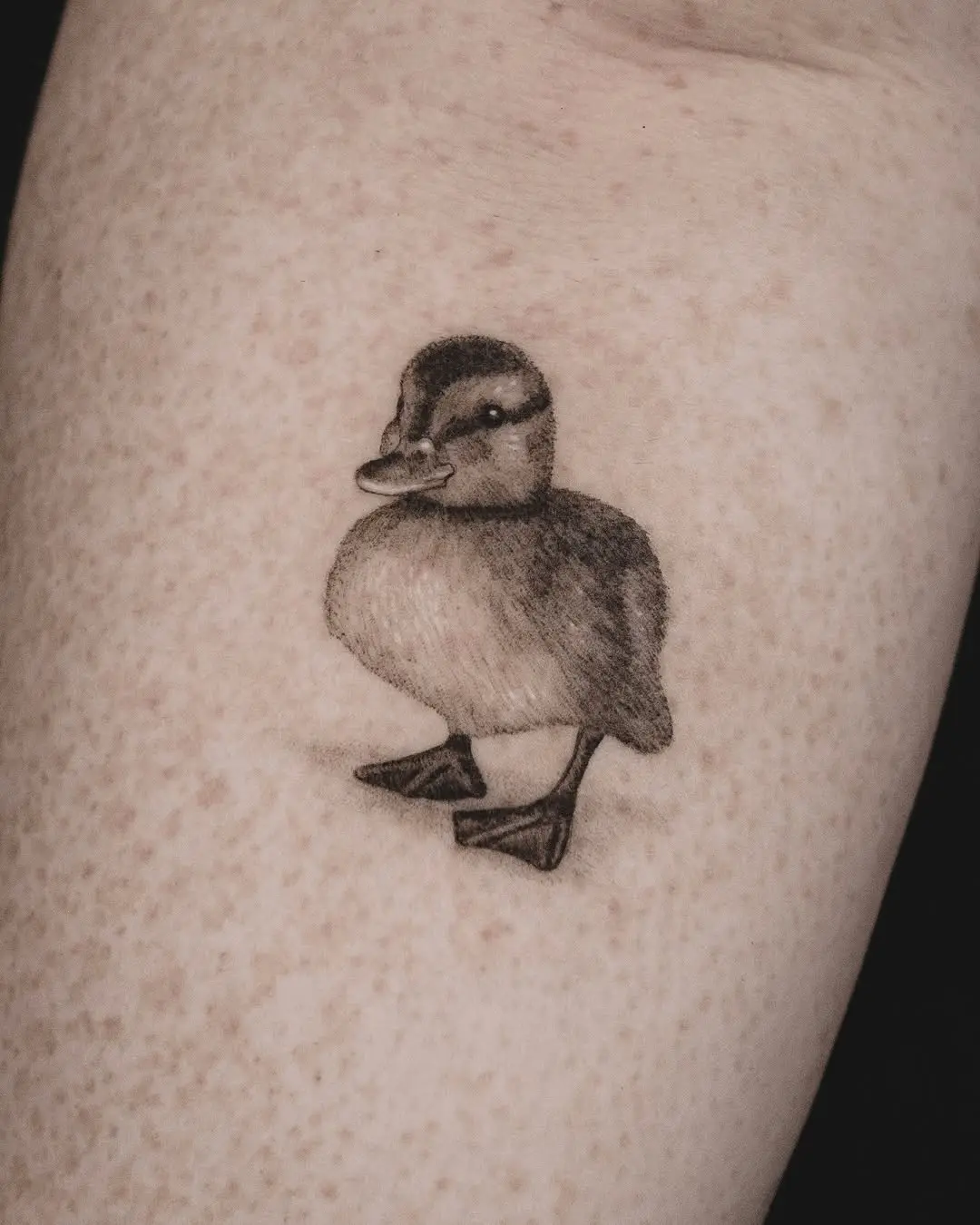 Charming realistic duck tattoo showcasing fine details