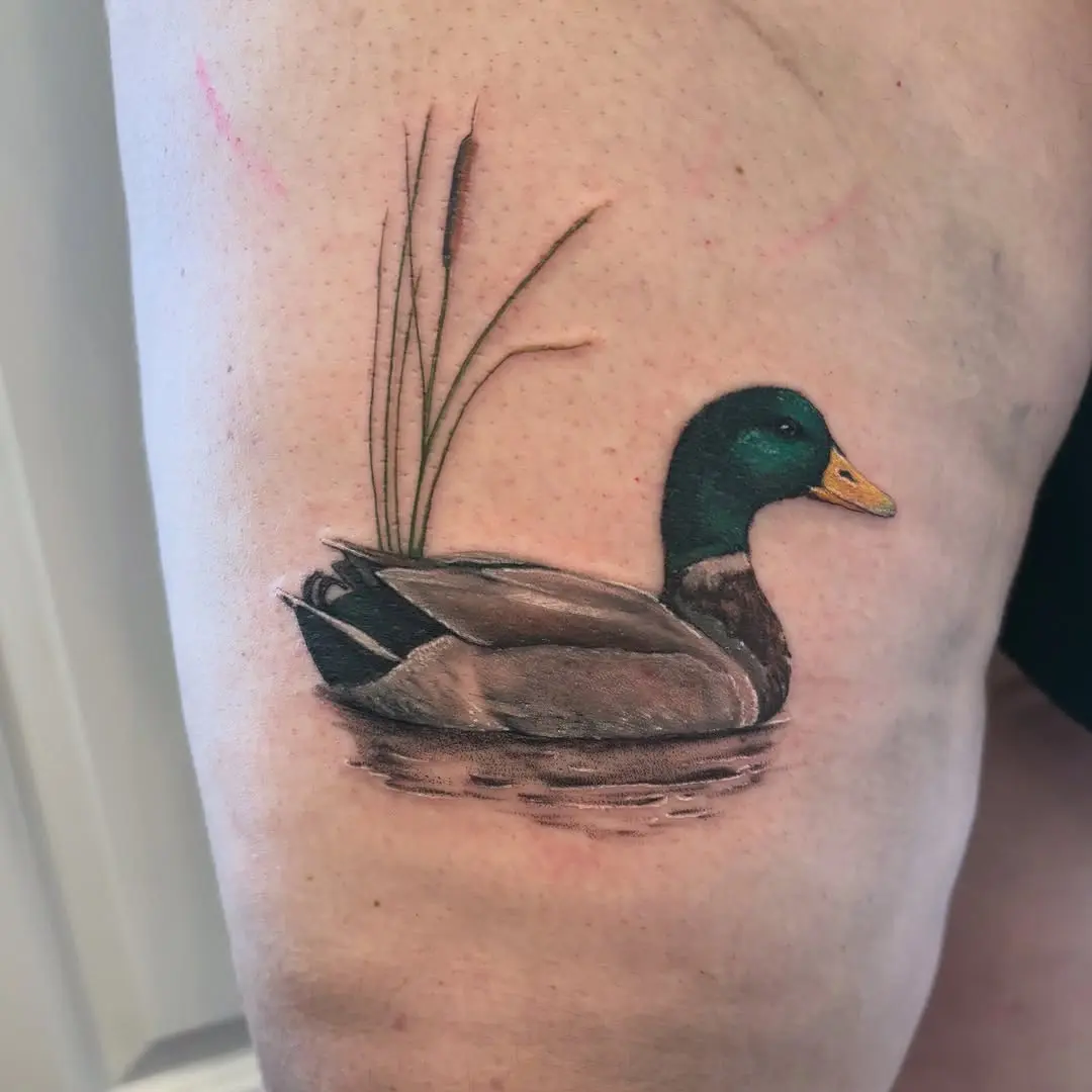 Charming Mallard Duck Tattoo on Skin
