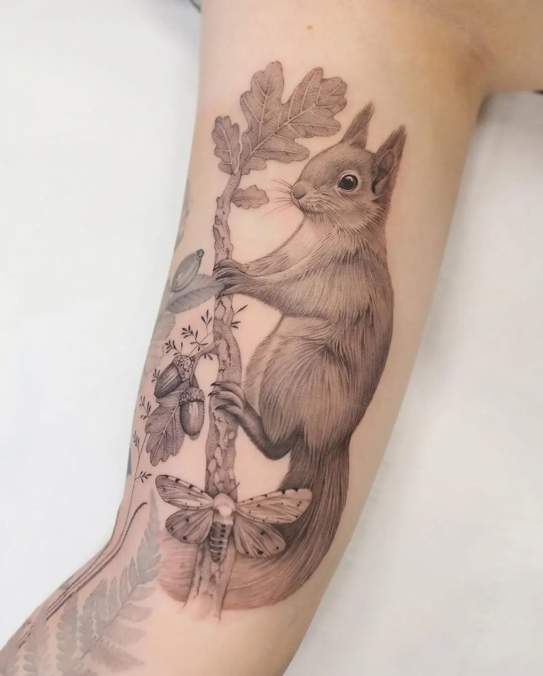 Nature-inspired squirrel tattoo with botanical elements