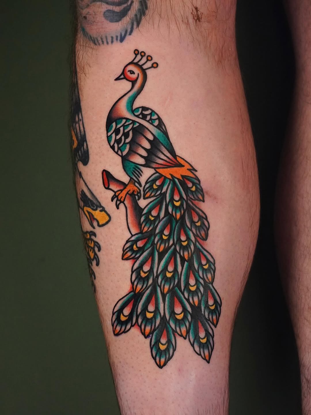 Vibrant peacock tattoo showcasing stunning details