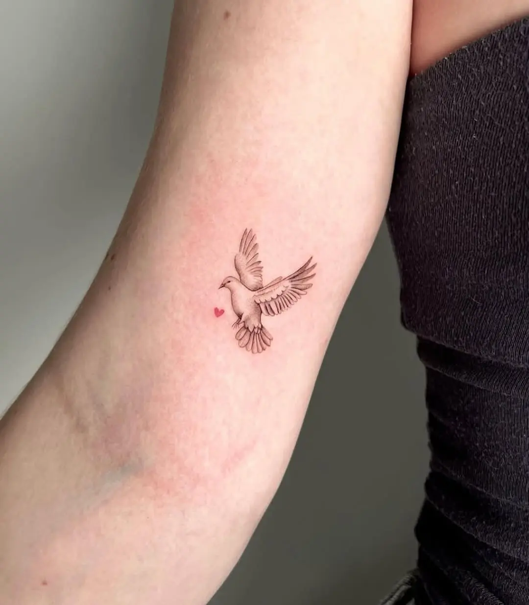 Elegantly soaring dove tattoo design with heart