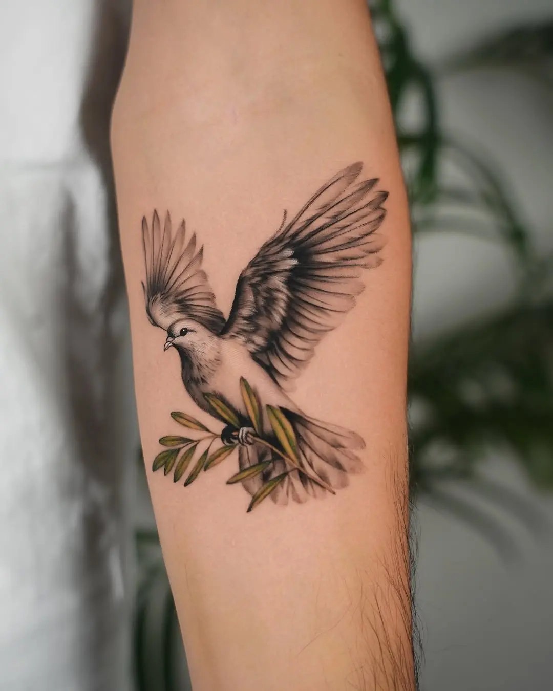 Elegant dove tattoo with olive branch symbolism