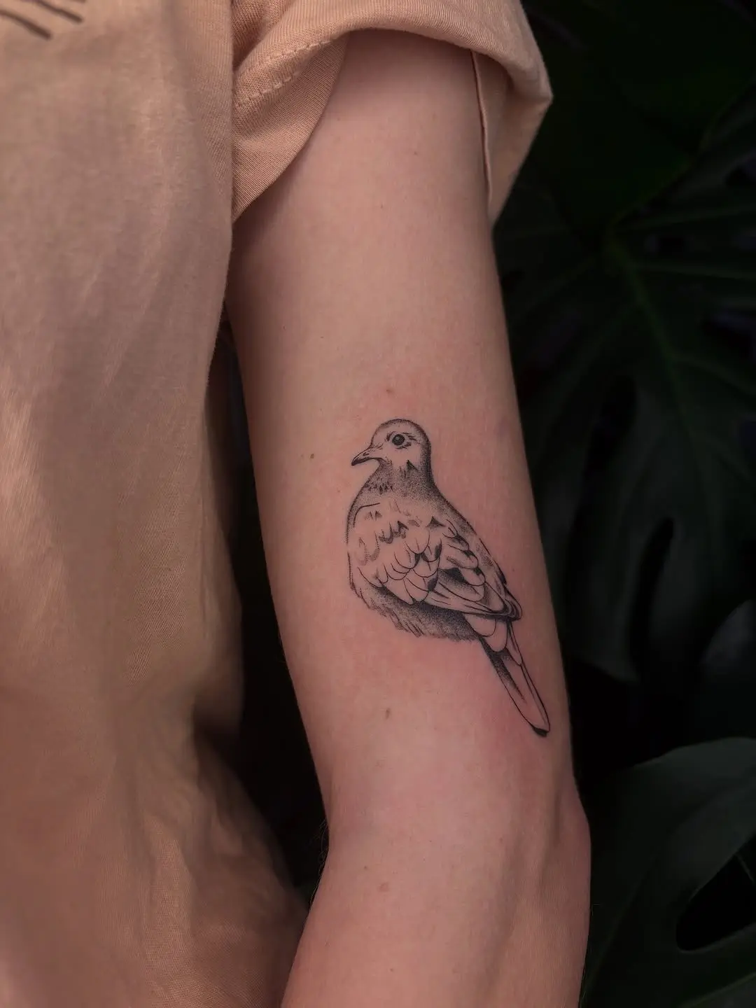 Beautiful minimalist dove tattoo on forearm