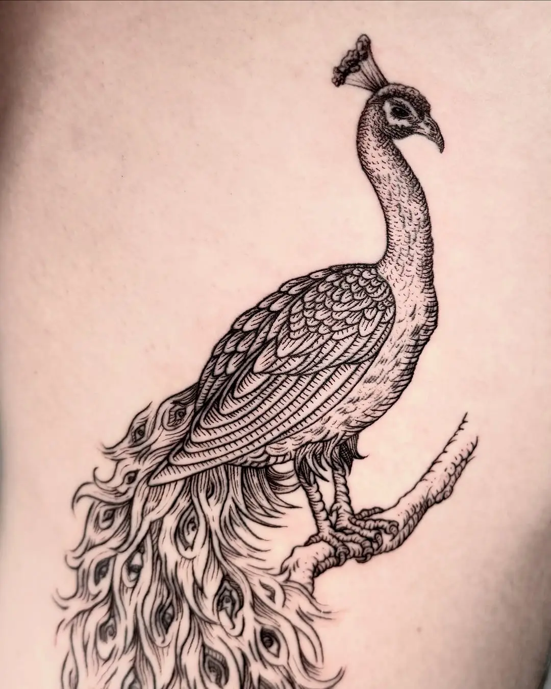 Elegant peacock tattoo showcasing intricate details