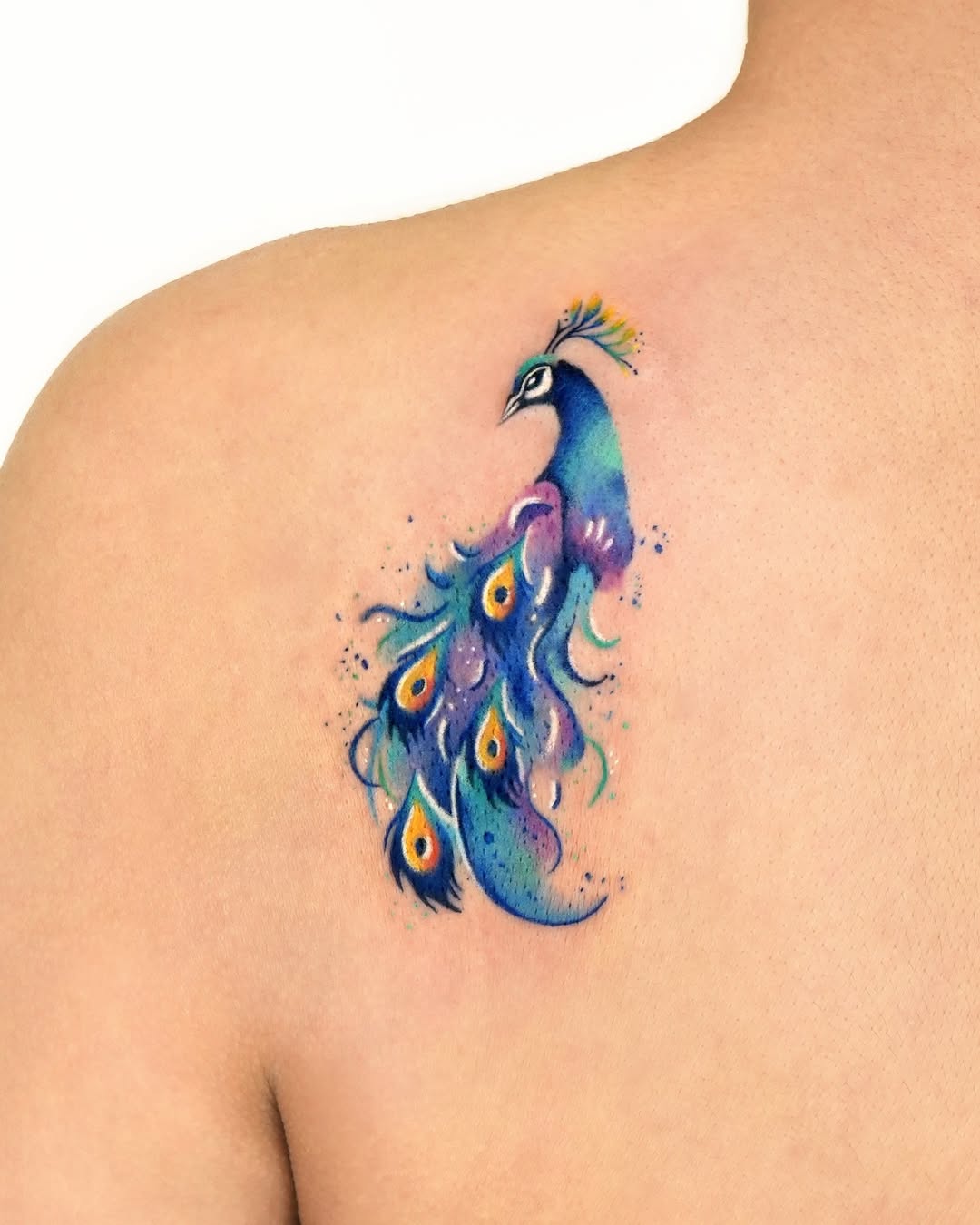 Vibrant peacock tattoo showcasing intricate artistry
