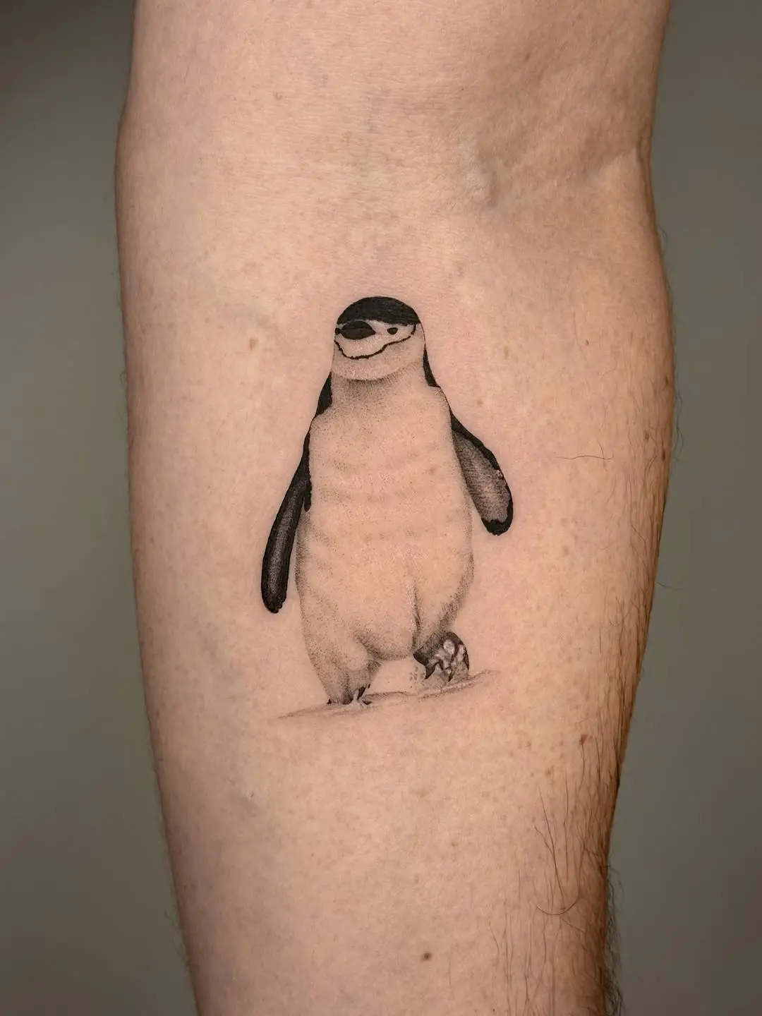 Charming Penguins Uniquely Inked on Skin