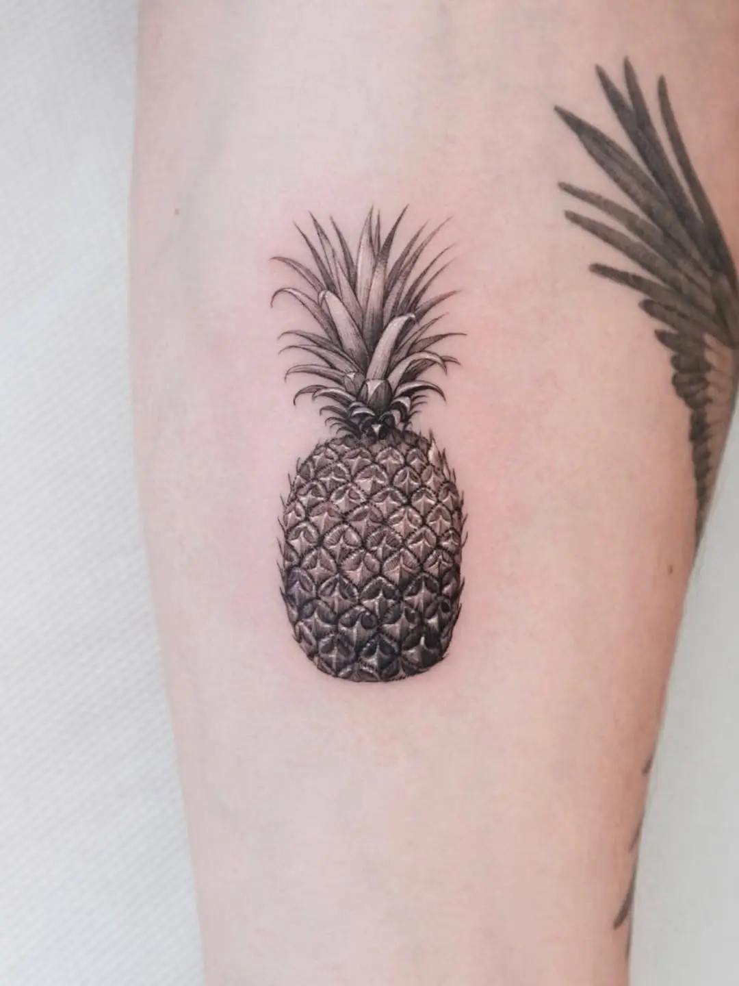 Stunning realistic black and gray pineapple tattoo