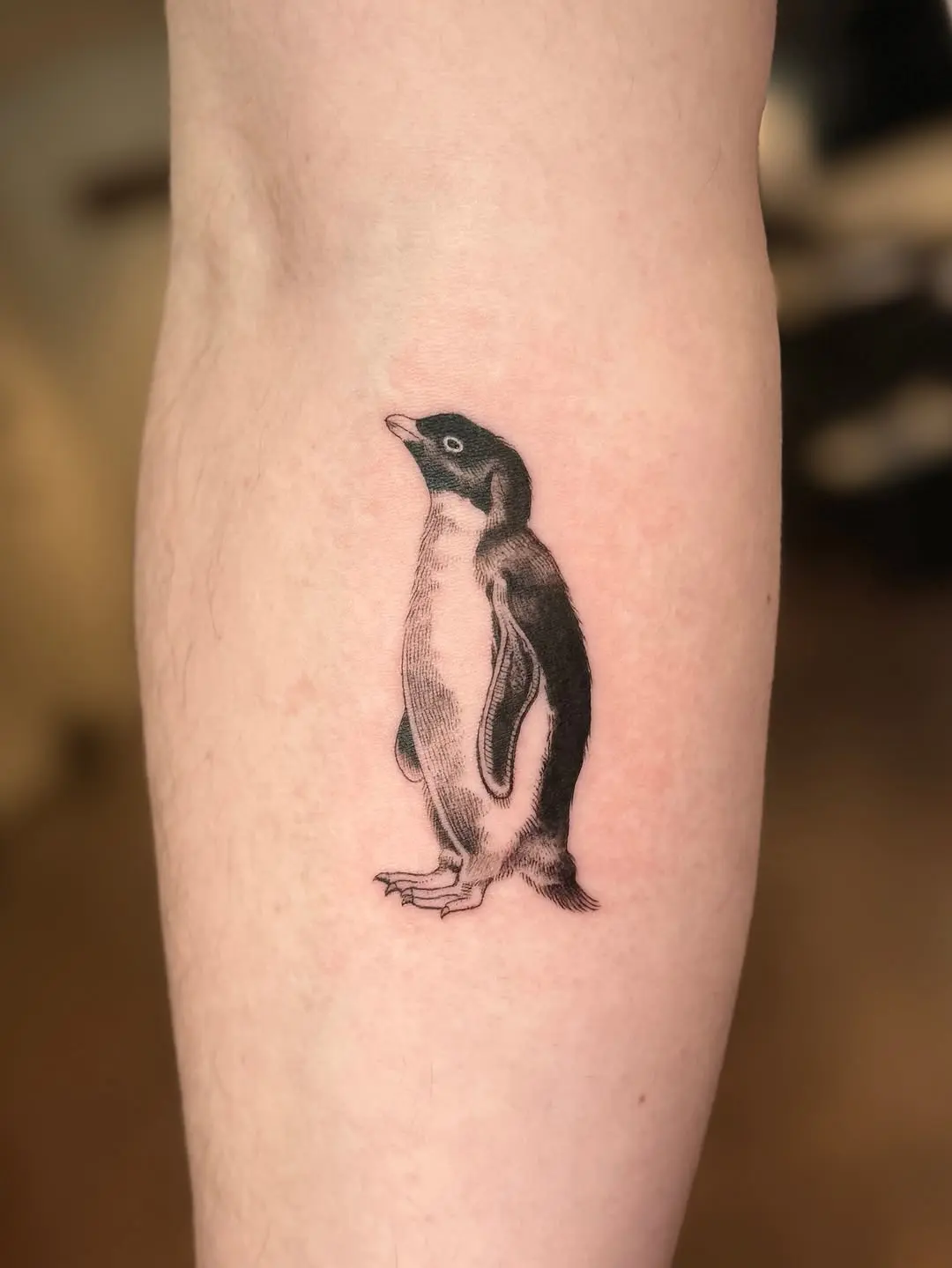 Charming penguin tattoo full of character