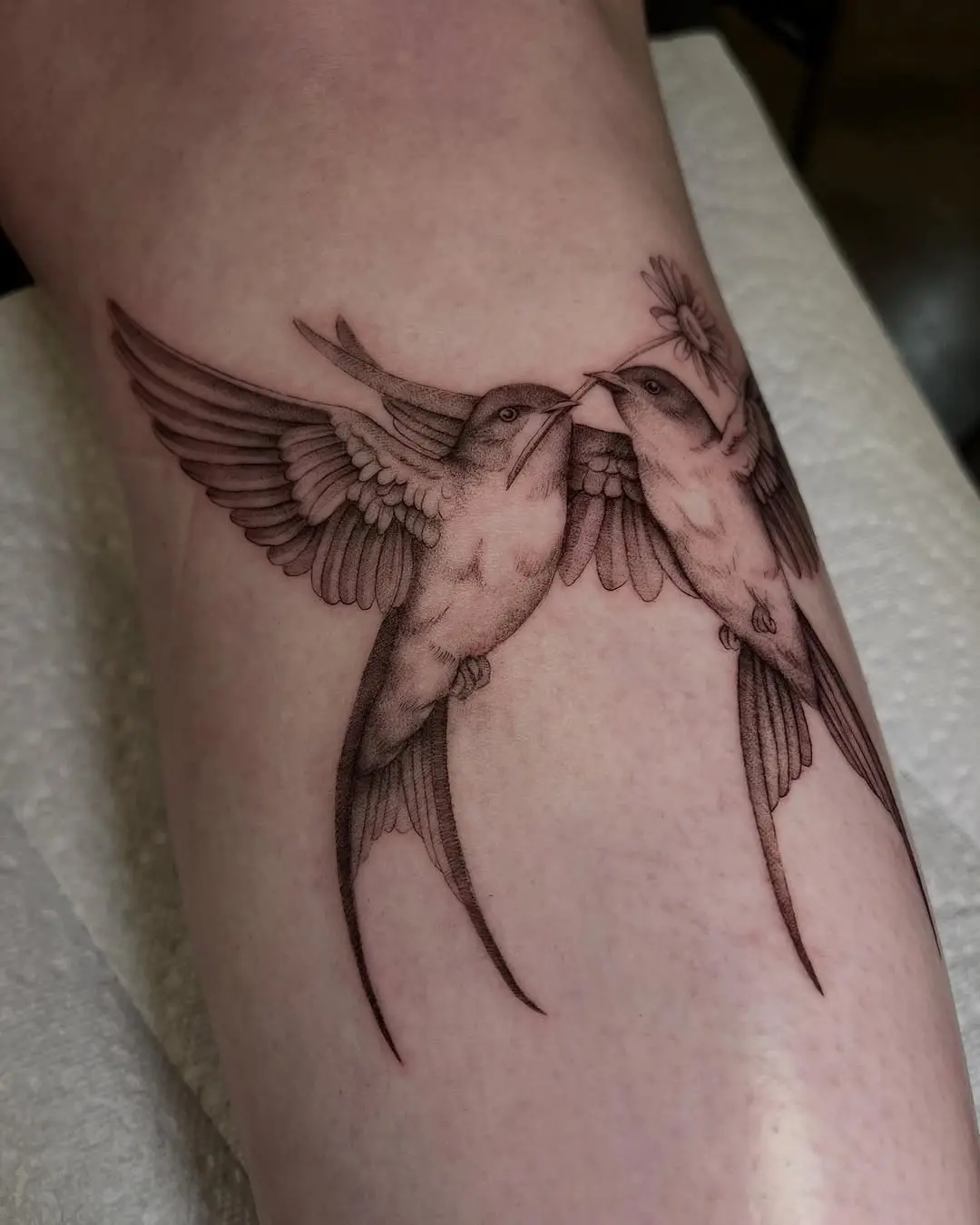 Beautiful birds representing love and connection