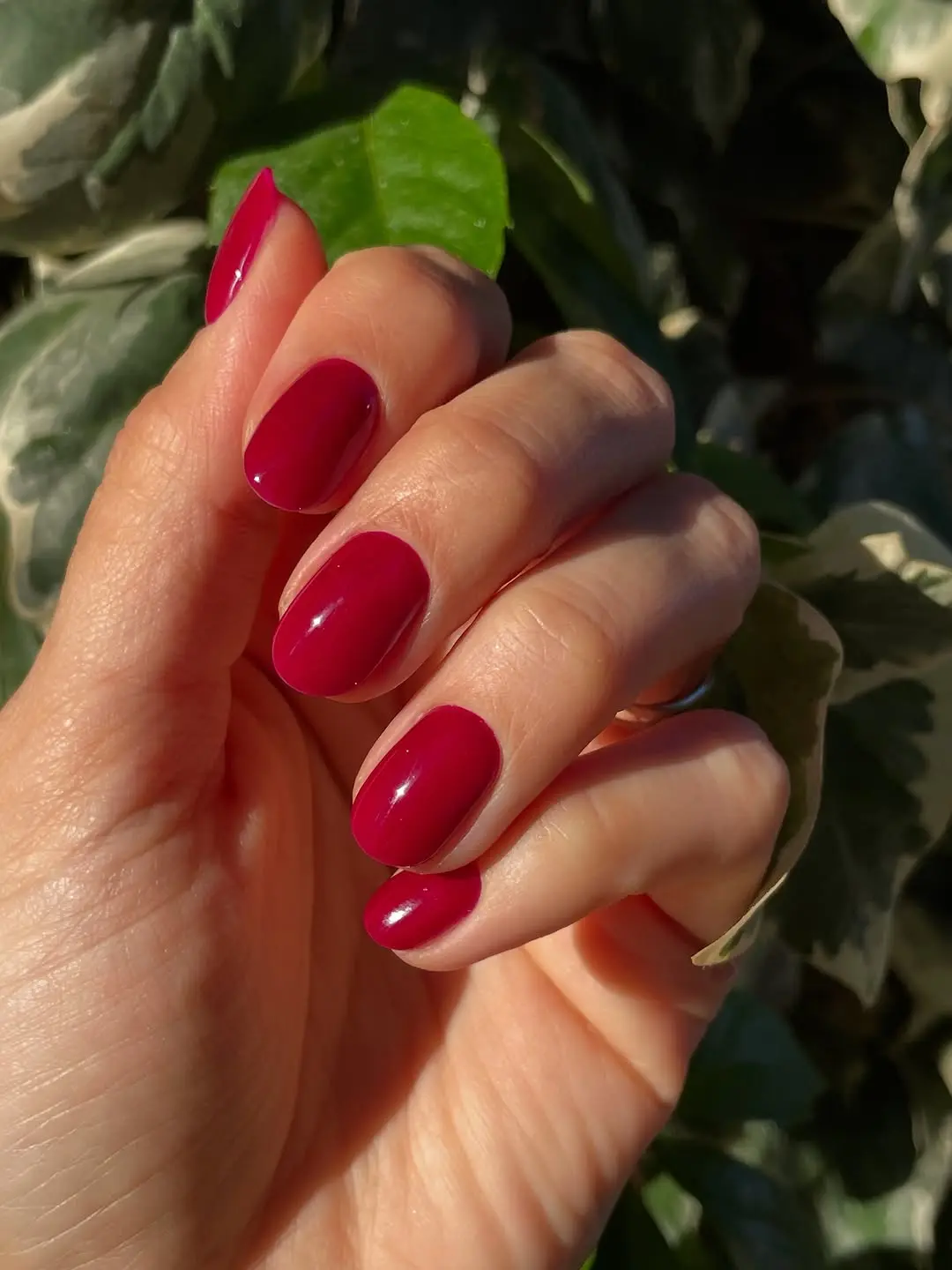Elegant burgundy short nails exuding sophistication