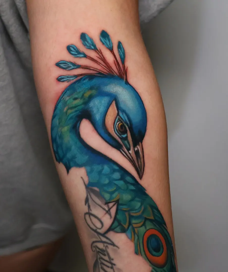 Stunning vibrant peacock tattoo on forearm