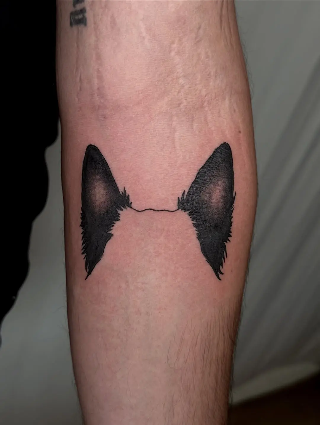 Unique dog ear tattoo design on arm