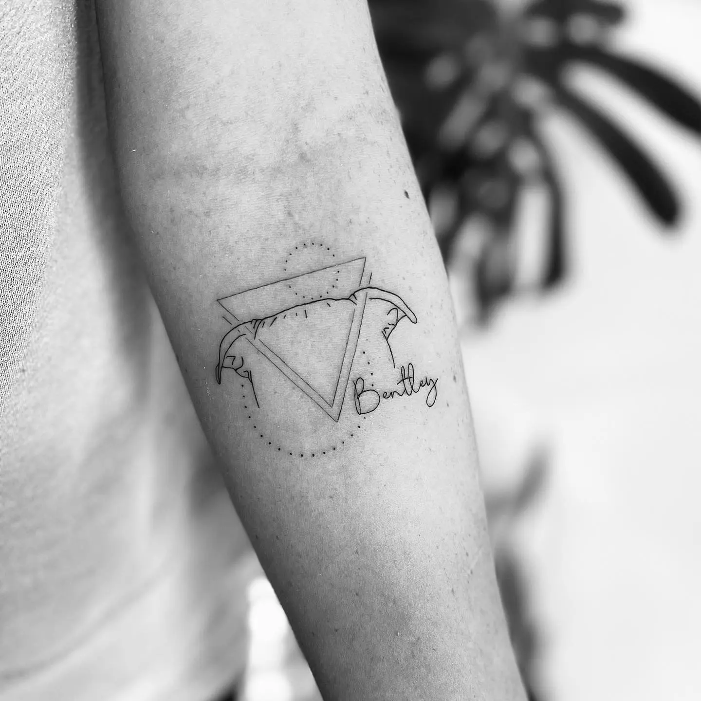 Elegant dolphin ear tattoo featuring unique design