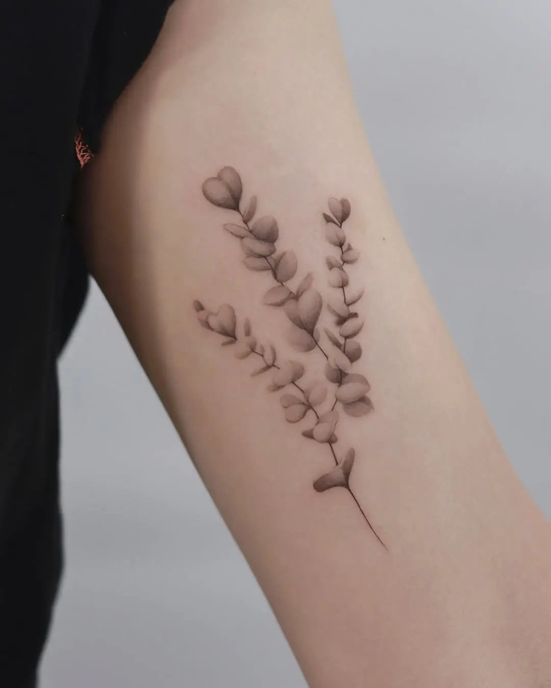 Elegant eucalyptus inked in minimalistic style