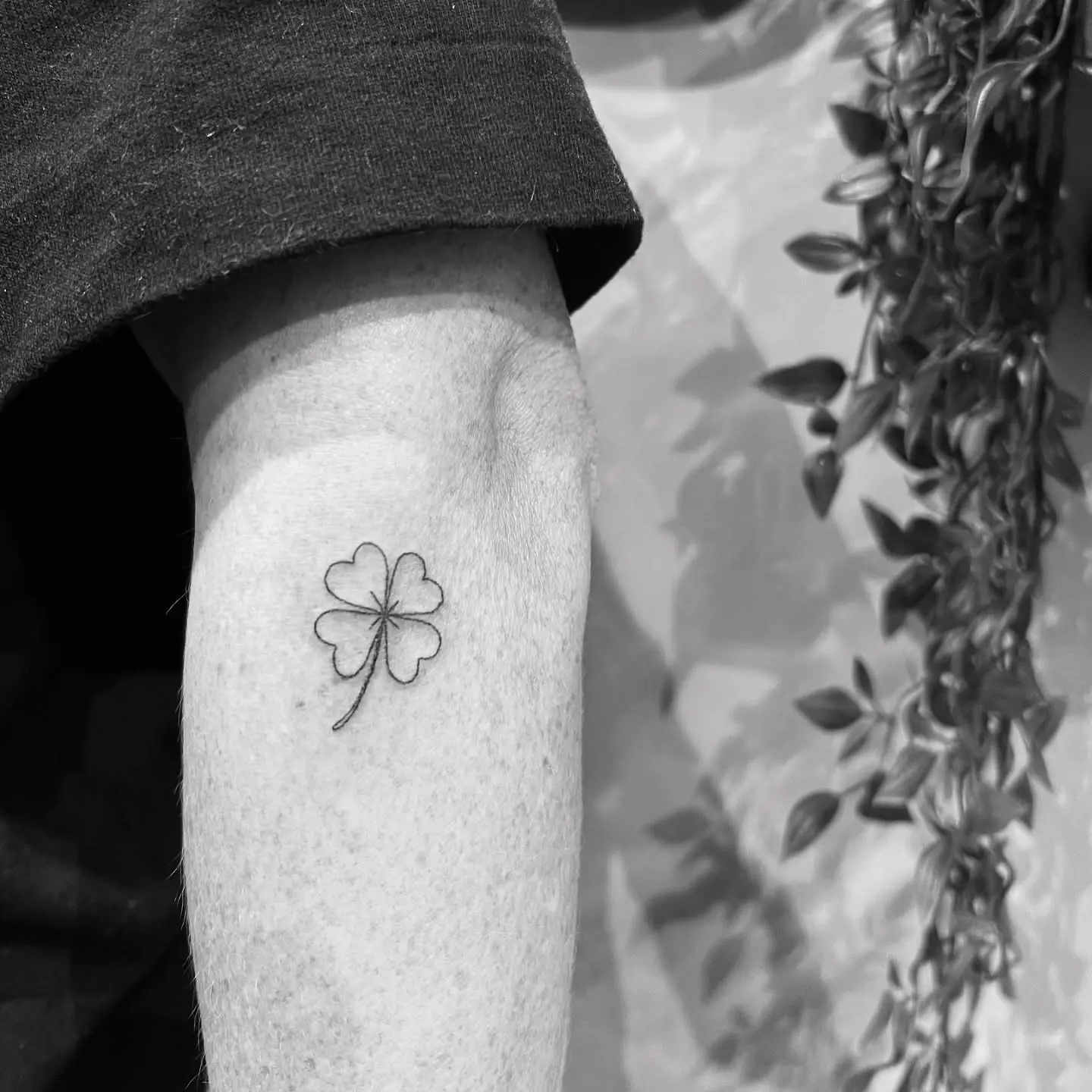 Delicate four leaf clover tattoo on arm
